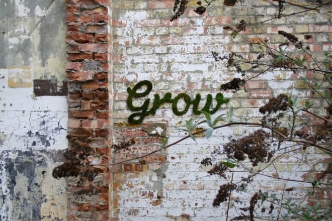 Moss graffiti, green graffiti, street art, Anna Garforth, UK, Grow, Moss Cross, The Big Bang, green design, green art, sustainable design, eco-design