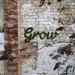 Moss graffiti, green graffiti, street art, Anna Garforth, UK, Grow, Moss Cross, The Big Bang, green design, green art, sustainable design, eco-design