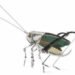 Edouards Martinet, recycled bicycles, Recycled Vehicles, french art, recycled metal