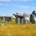 Jim Reinders, Stonhedge, Carhenge, Recycled Vehicles, Nebraska, grey cars