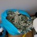 green design, eco design, sustainable design, moneygami, money origami, Japanese American National Museum, Los Angeles, Folding Paper: The Infinite Possibilities of Origami, Sipho Mabona, folded dollar bills, money art