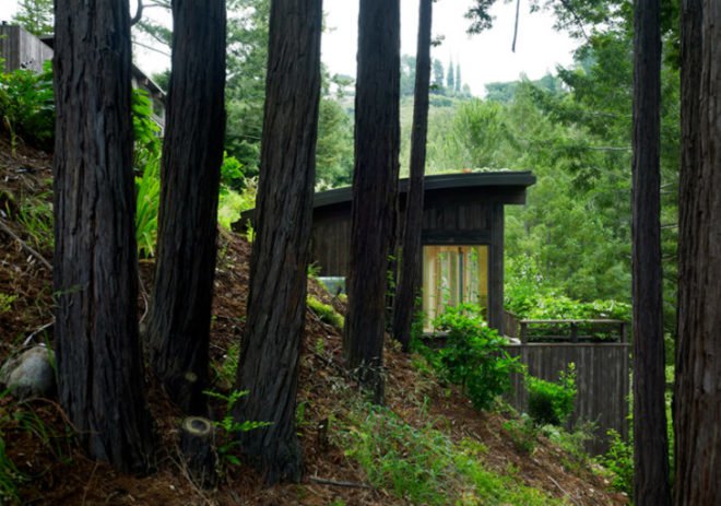 Mill Valley Cabins, Feldman Architecture, green roof, living roof, yoga studio, art studio, accessory dwelling unit