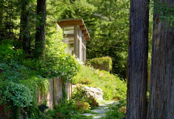 Mill Valley Cabins, Feldman Architecture, green roof, living roof, yoga studio, art studio, accessory dwelling unit