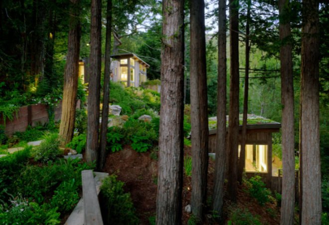 Mill Valley Cabins, Feldman Architecture, green roof, living roof, yoga studio, art studio, accessory dwelling unit