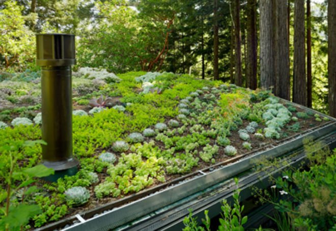 Mill Valley Cabins, Feldman Architecture, green roof, living roof, yoga studio, art studio, accessory dwelling unit