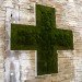 Moss graffiti, green graffiti, street art, Anna Garforth, UK, Grow, Moss Cross, The Big Bang, green design, green art, sustainable design, eco-design