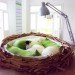 O*GE CreativeGroup, birdsnest bed, bird furniture, fun playful furniture, playtime bed, bird bed, big bed design, furniture design