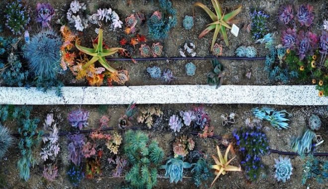 organograph, public art, san jose, Bill Washabaugh, Chico MacMurtie, Geo Homey, climate model