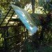 cottage industry, waste building material, daylighting, Duqusne University, David Saiia,plastic pollution, green material, plastic reuse, plastic recycling,
