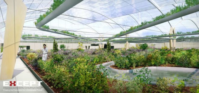 Polydome, greenhouse, sustainable food, local food, permaculture, Innovation Network, Buckminster Fuller Challenge