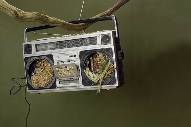 art, DIY, Green Products, Recycled Materials, repurposed objects, Reinhard Hunger, german art, birdhouses, birdfeeders, recycled materials, boom box, coconuts, recycled chandelier