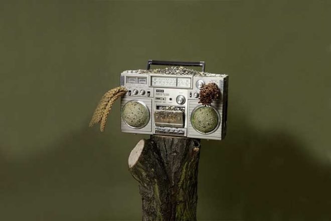 art, DIY, Green Products, Recycled Materials, repurposed objects, Reinhard Hunger, german art, birdhouses, birdfeeders, recycled materials, boom box, coconuts, recycled chandelier