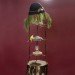 art, DIY, Green Products, Recycled Materials, repurposed objects, Reinhard Hunger, german art, birdhouses, birdfeeders, recycled materials, boom box, coconuts, recycled chandelier
