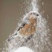 art, DIY, Green Products, Recycled Materials, repurposed objects, Reinhard Hunger, german art, birdhouses, birdfeeders, recycled materials, boom box, coconuts, recycled chandelier