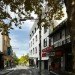Durbach Block Jaggers, Roslyn Street bar, restaurant, Kings Cross, Sydney, Australia, green design, sustainable design, eco-design, small footprint, tile-clad bar, rooftop garden, indigenous flora