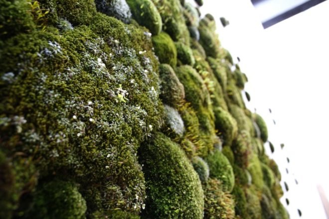 Moss graffiti, green graffiti, street art, Anna Garforth, UK, Grow, Moss Cross, The Big Bang, green design, green art, sustainable design, eco-design