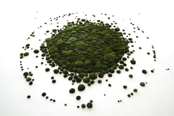 Moss graffiti, green graffiti, street art, Anna Garforth, UK, Grow, Moss Cross, The Big Bang, green design, green art, sustainable design, eco-design