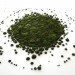 Moss graffiti, green graffiti, street art, Anna Garforth, UK, Grow, Moss Cross, The Big Bang, green design, green art, sustainable design, eco-design