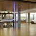 UCLA, Charles E. Young Library, Perkins+Will, eco library, green renovation, library renovation, LA