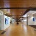 UCLA, Charles E. Young Library, Perkins+Will, eco library, green renovation, library renovation, LA
