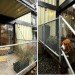 Zigloo Domestique For Sale, zigloo domestique, container house, shipping container, cargotecture, eco home