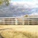apple, apple building plans, apple campus, apple cupertino campus, apple new building, apple offices, apple renderings, apple’s new campus, apples new offices, building in cupertino, cupertino building, cupertino campus, cupertino city council, green architecture, Green Building, apple spaceship, apple campus aircraft