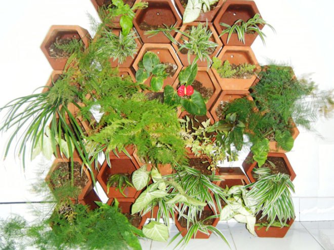 Bali Eco Green Wall, bali eco center, bali ecological center, green wall, planter walls, modular planters, bali