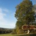 blue forest eco-PERCH, blue forest, eco-PERCH, modern tree houses, tree house design, eco tree houses, off grid tree houses, tree house architecture, green architecture, tree architecture
