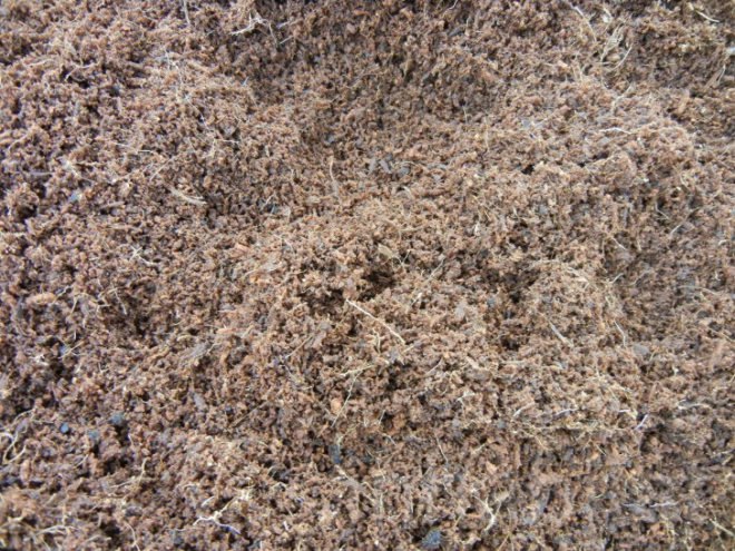 coconut coir, coconut, coir, soil alternative, eco friendly growing medium, coconut soil, gardening, urban gardening, plants, growing plants, soil made of coconuts, costa farms, costa, peat, renewable soil, peat moss,