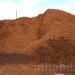 coconut coir, coconut, coir, soil alternative, eco friendly growing medium, coconut soil, gardening, urban gardening, plants, growing plants, soil made of coconuts, costa farms, costa, peat, renewable soil, peat moss,