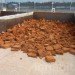 coconut coir, coconut, coir, soil alternative, eco friendly growing medium, coconut soil, gardening, urban gardening, plants, growing plants, soil made of coconuts, costa farms, costa, peat, renewable soil, peat moss,