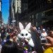 nyc easter, eco easter ny, green easter, easter activities in nyc, what to do in ny for easter, easter egg hunts nyc, easter bunny nyc
