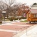 Tumbleweed Tiny House Company, Tumbleweed, Tumbleweed XS, Toledo Museum of Art, Ohio, The Andersons, The Lathrop Company, tiny homes, green design, sustainable design, eco design, Jay Shafter, fundraising, auction, eBay,