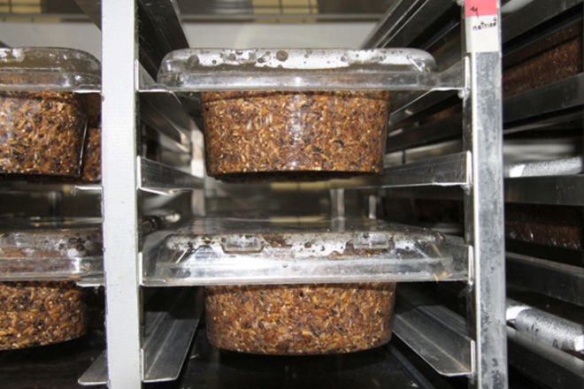 ompostable products, compostable packaging, compostable material, compostable packaging material, mushroom based packaging material, compostable mushroom packaging, Ecovative Design, Ecovative Design mushrooms, Ecovative Design mushroom packaging,
