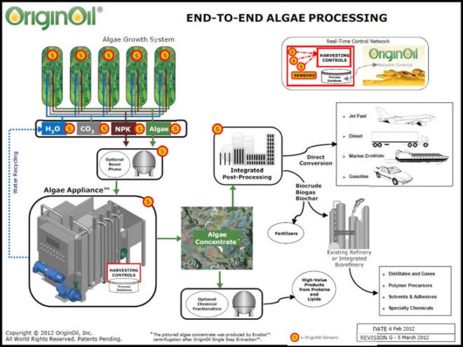 OriginOil, algae, wastewater, water treatment, sewage treatment, clean energy, renewable energy