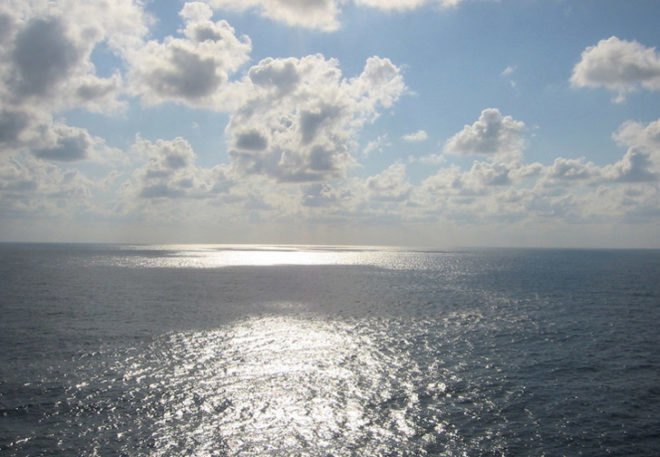 gulf restoration network, natural resources defense council, gulf of mexico, water issues, water pollution, marine life, mississippi river, industrial pollution, hypoxic water