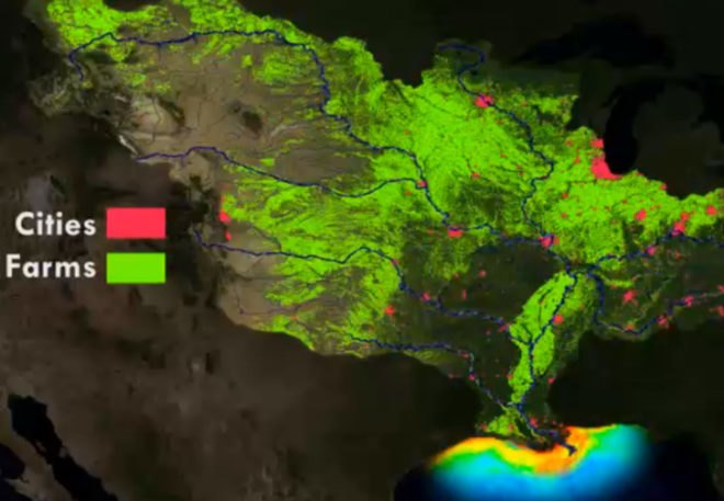 gulf restoration network, natural resources defense council, gulf of mexico, water issues, water pollution, marine life, mississippi river, industrial pollution, hypoxic water