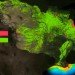gulf restoration network, natural resources defense council, gulf of mexico, water issues, water pollution, marine life, mississippi river, industrial pollution, hypoxic water