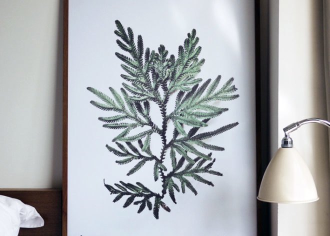 francis ooi, what i see when i run, green art, eco art, sustainable design, green design, recycled materials, botanical prints, recycled materials, nature, environmental art