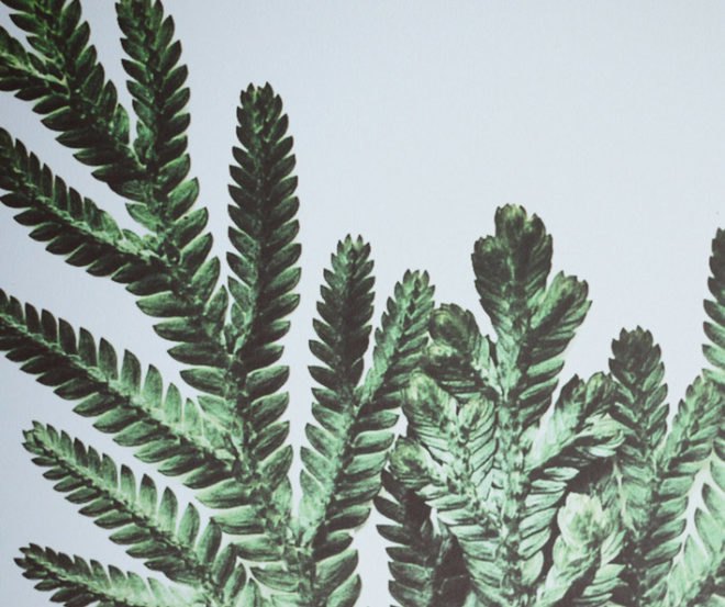 francis ooi, what i see when i run, green art, eco art, sustainable design, green design, recycled materials, botanical prints, recycled materials, nature, environmental art