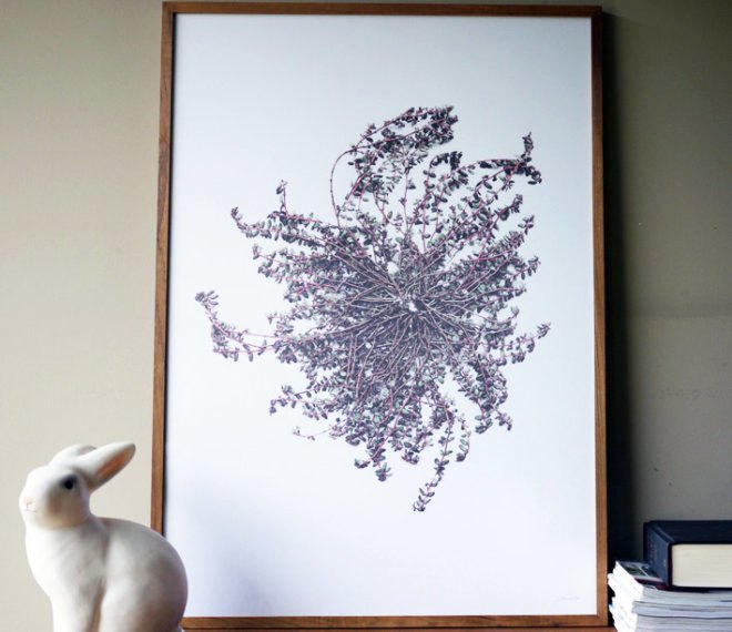 francis ooi, what i see when i run, green art, eco art, sustainable design, green design, recycled materials, botanical prints, recycled materials, nature, environmental art