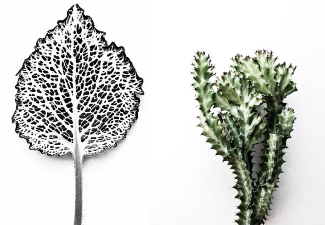 francis ooi, what i see when i run, green art, eco art, sustainable design, green design, recycled materials, botanical prints, recycled materials, nature, environmental art