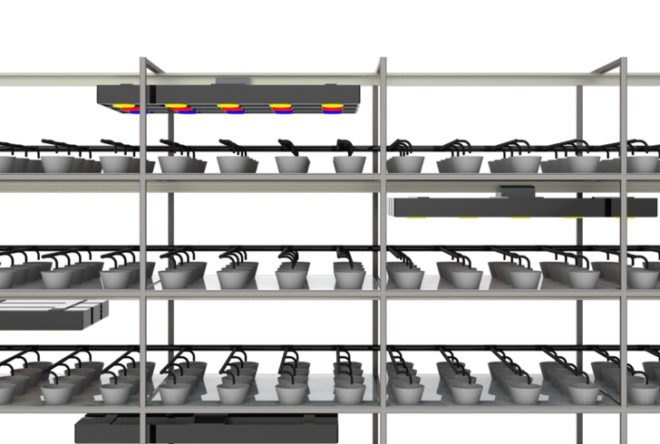 growtainer, growtainer greentech argo, greentech argo, shipping container farm, glenn behrman, hydroponic farming