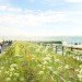High Line Section 3 Designs, high line, high line section 3, high line final section, high line park, friends of the high line, james corner field operations, diller scofidio renfro, hudson yards