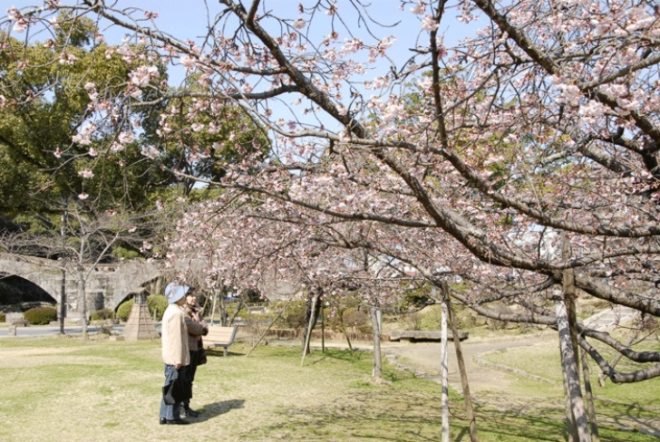 japanese design, fruit bus stops, isahaya city, quirky design, giant fruit bus stops, fairytale design, landscape architecture, fruit-inspired design