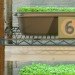 jenna spevack, microfarms, mixed greens gallery, urban gardening, Eight Extraordinary Greens, jenna spevack art