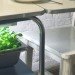 jenna spevack, microfarms, mixed greens gallery, urban gardening, Eight Extraordinary Greens, jenna spevack art