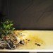 mdc interiors, bonsai tree table, living table, bonsai tree, sustainable design, green design, sustainable furniture, green furniture, recycled materials, recycled furniture, living furniture