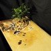 mdc interiors, bonsai tree table, living table, bonsai tree, sustainable design, green design, sustainable furniture, green furniture, recycled materials, recycled furniture, living furniture
