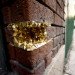 Paige Smith, geode, paper geodes, street art, a common name, los angeles, street art, paper in 3d, paper geodes, paper sculptures